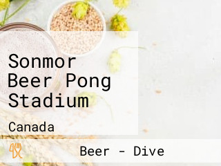 Sonmor Beer Pong Stadium