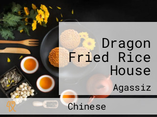 Dragon Fried Rice House
