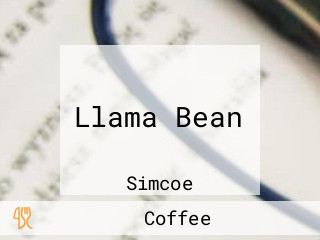 Llama Bean