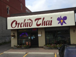 Orchid Thai