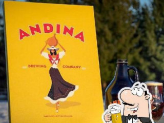 Andina Brewing Co