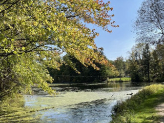 Pinecroft Green Frog Tea Room