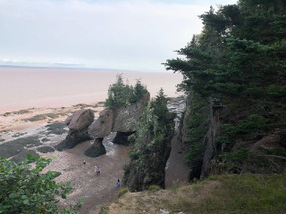 Low Tide Canteen