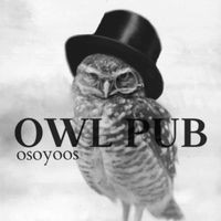 Owl Pub + Cold Beer & Wine Store