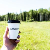 Evrgreen Coffee and Food