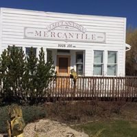 The Mercantile Cafe & Norwegian Gift Shop