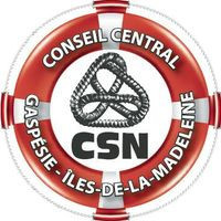 Conseil Central De La GaspÉsie Et Des Îles De La Madeleine Csn