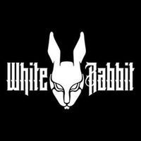 White Rabbit • Uptown Waterloo