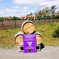 Gallucci Winery