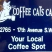 Coffee Cats Cafe