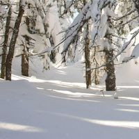 Pain De Sucre Cap-st-ignace