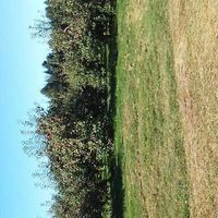 La Pomme Du St-laurent