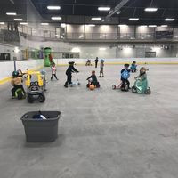 Arena's And Ice Rinks