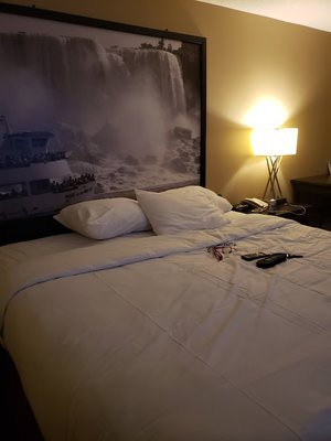 Wyndham Garden Niagara Falls Fallsview