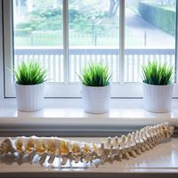 Norris Place Chiropractic